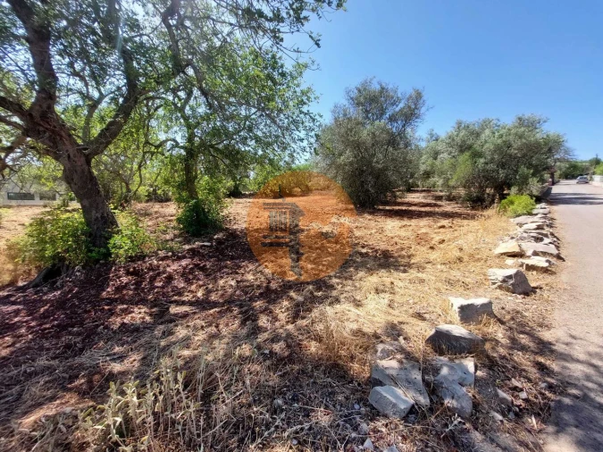 Terreno para Venda em São Brás de Alportel Foto 13