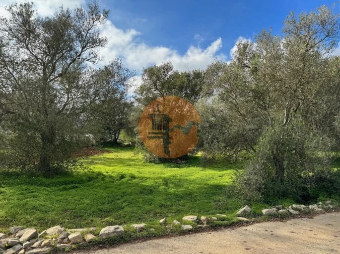 Terreno para Venda em São Brás de Alportel Foto 22