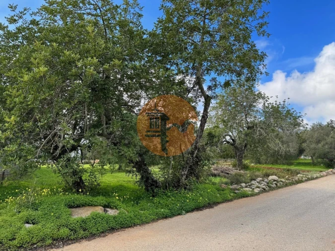 Terreno para Venda em São Brás de Alportel Foto 23