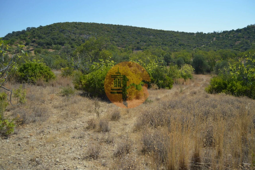 Terreno para Venda em Santa Catarina da Fonte do Bispo Foto 5