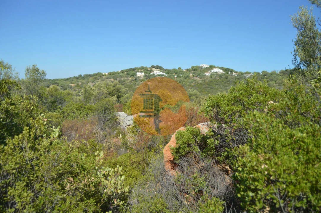 Terreno para Venda em Santa Catarina da Fonte do Bispo Foto 7