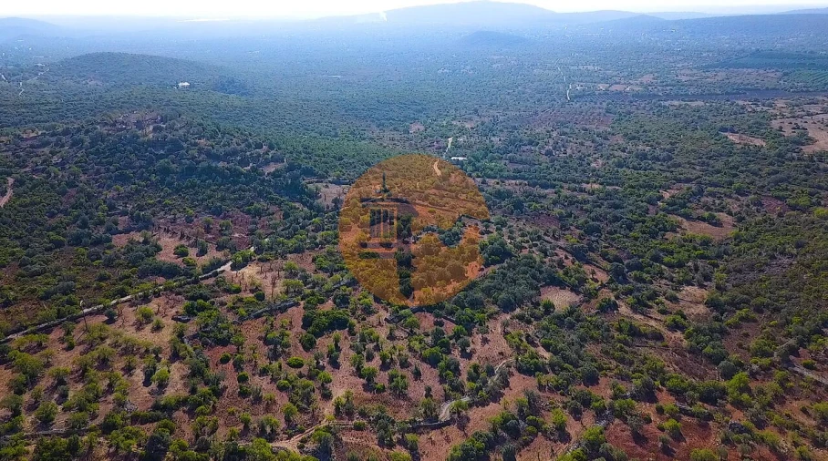Terreno para Venda em Santa Catarina da Fonte do Bispo Foto 16