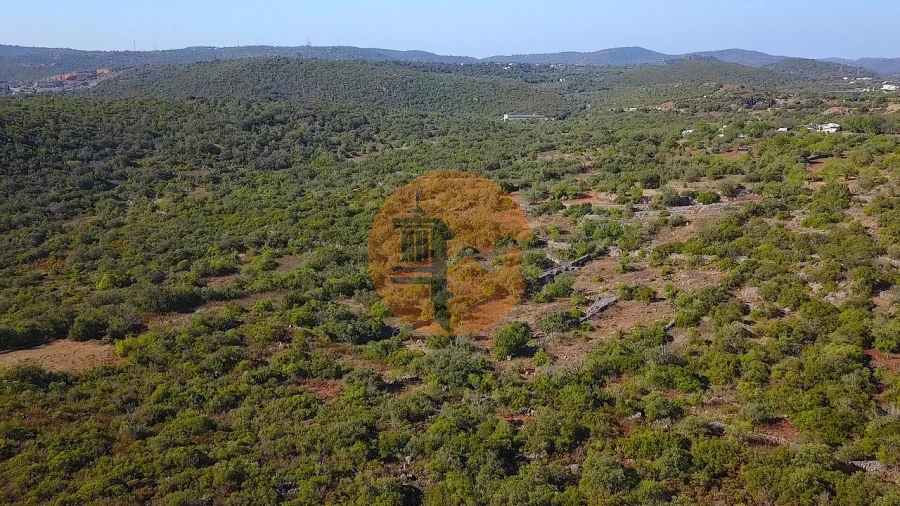 Terreno para Venda em Santa Catarina da Fonte do Bispo Foto 17