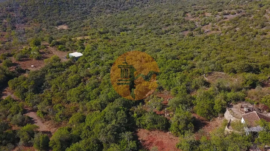 Terreno para Venda em Santa Catarina da Fonte do Bispo Foto 18