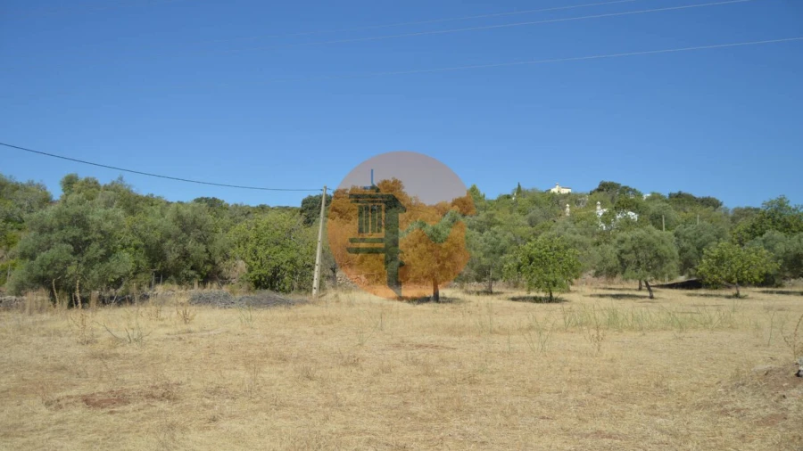 Terreno para Venda em Santa Catarina da Fonte do Bispo