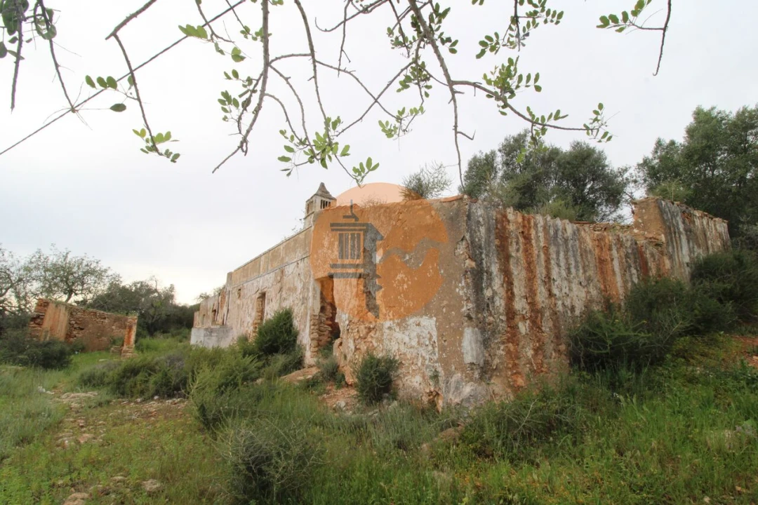 Terreno para Venda em Pechão Foto 2