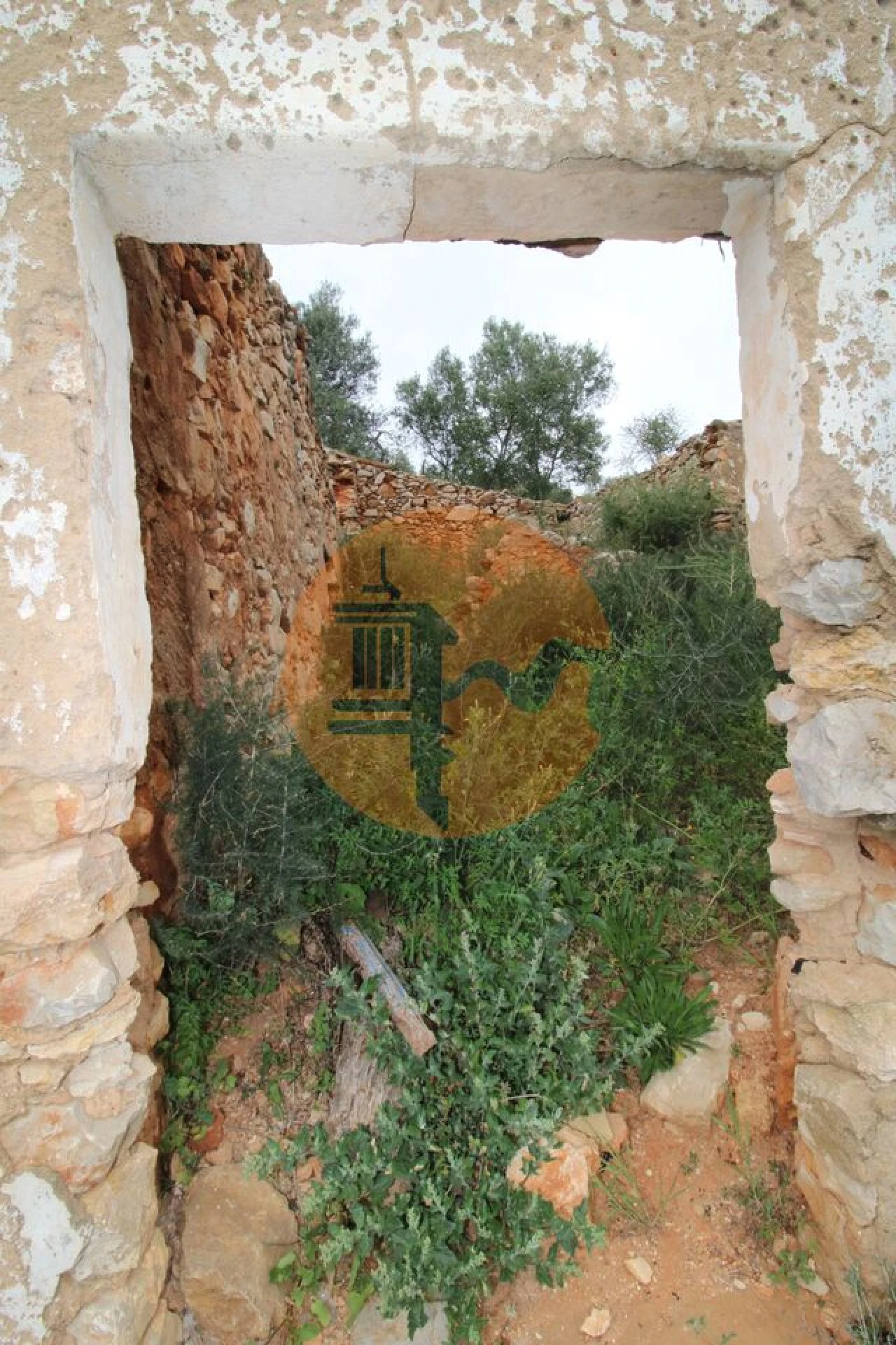 Terreno para Venda em Pechão Foto 4