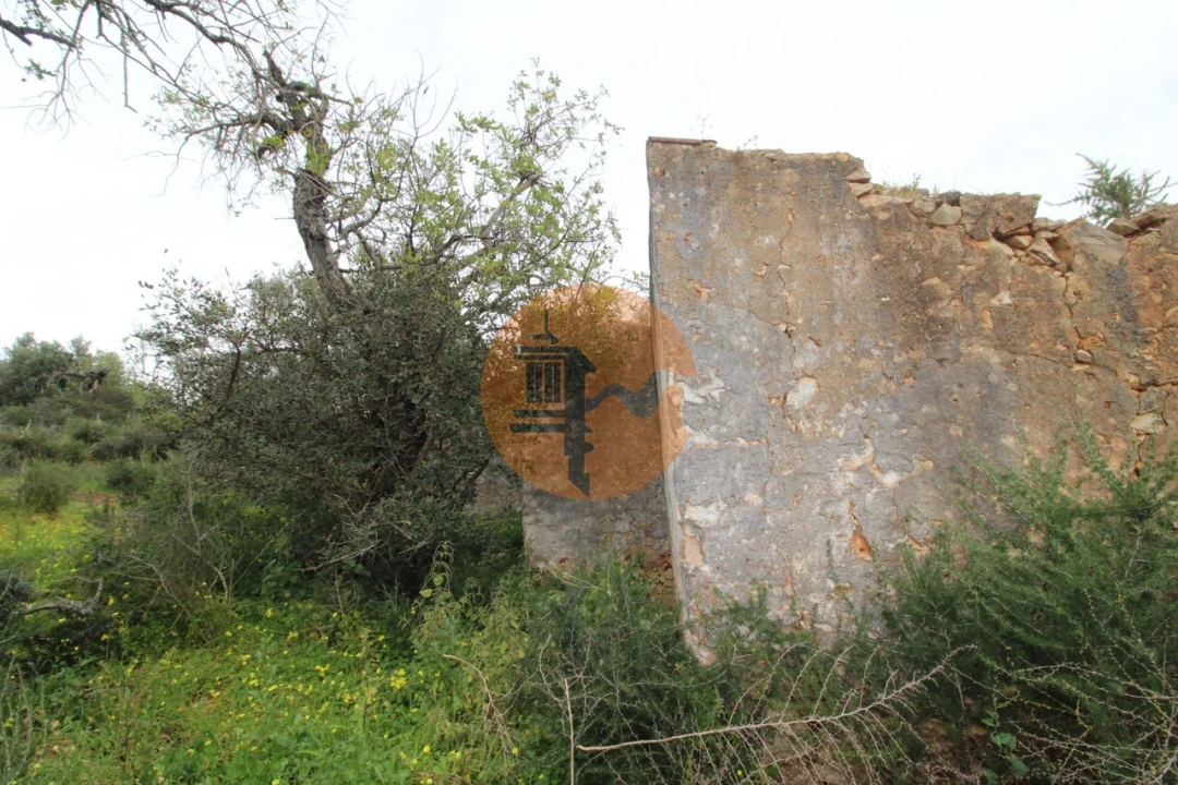 Terreno para Venda em Pechão Foto 8