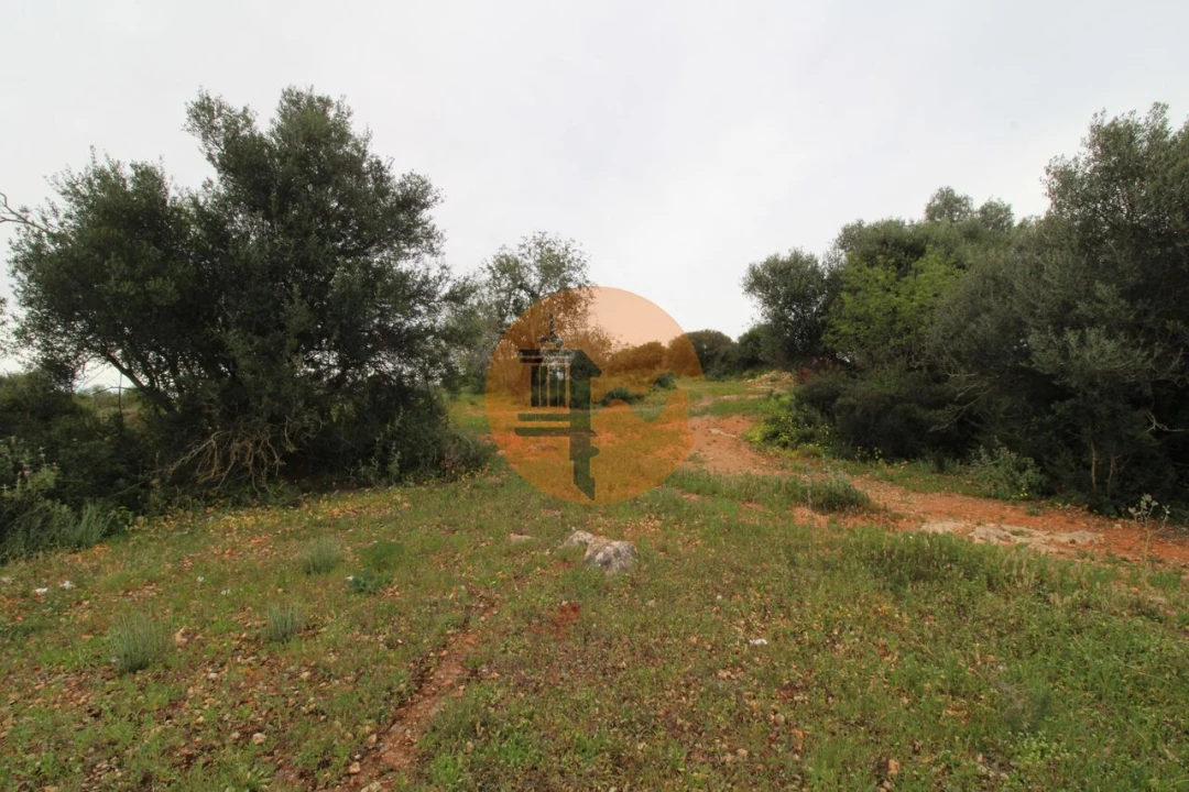 Terreno para Venda em Pechão Foto 10