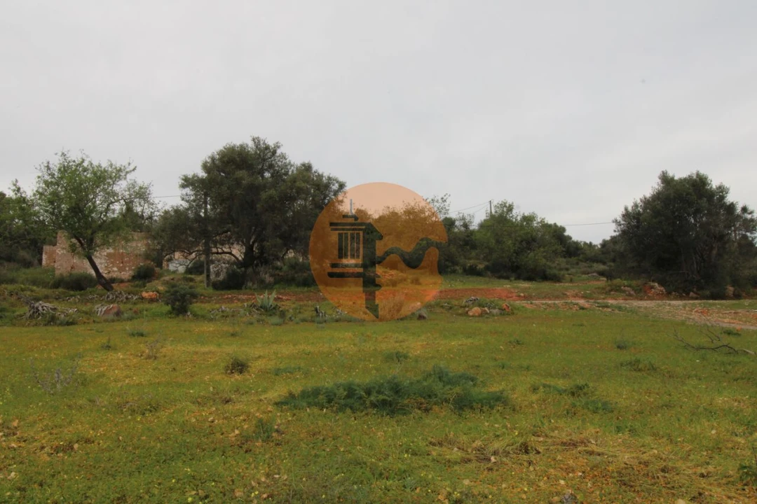Terreno para Venda em Pechão Foto 11