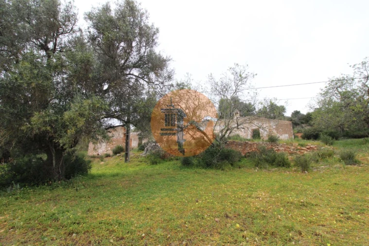 Terreno para Venda em Pechão Foto 3