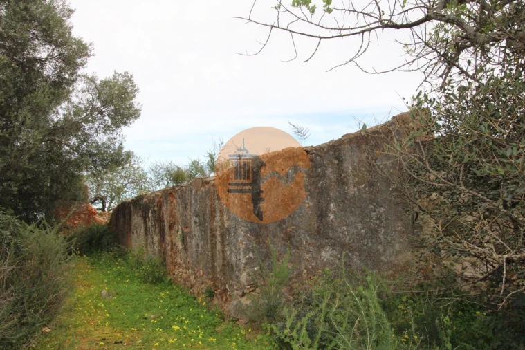 Terreno para Venda em Pechão Foto 9