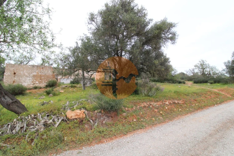 Terreno para Venda em Pechão