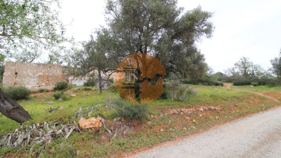 Terreno para Venda em Pechão