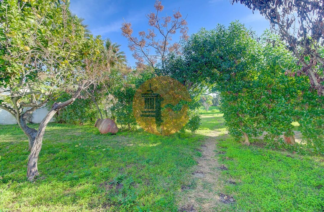 Terreno para Venda em Vila Nova de Cacela Foto 45
