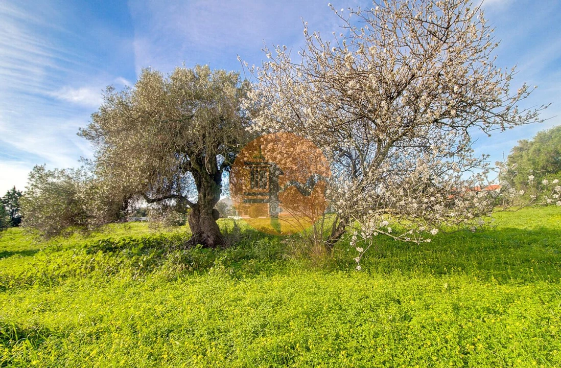 Terreno para Venda em Vila Nova de Cacela Foto 49