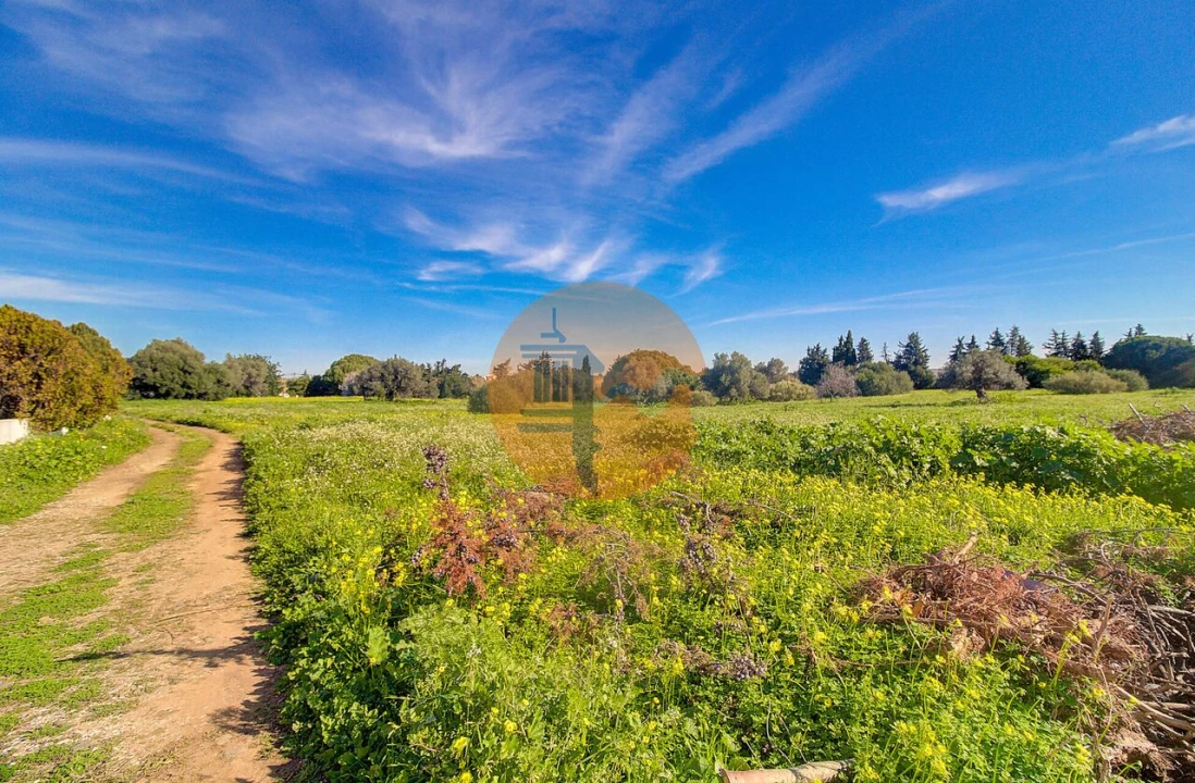 Terreno para Venda em Vila Nova de Cacela Foto 51