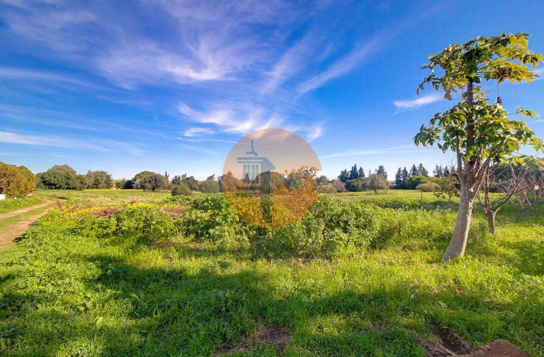 Terreno para Venda em Vila Nova de Cacela Foto 48