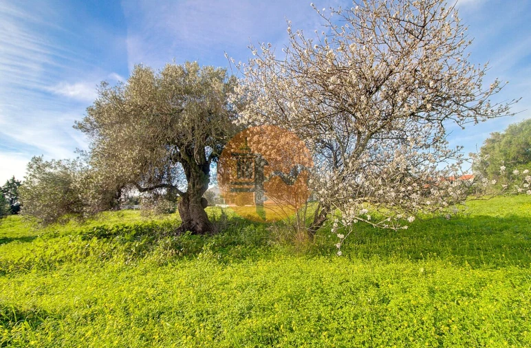 Terreno para Venda em Vila Nova de Cacela Foto 49