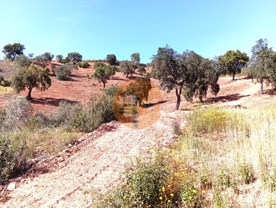 Terreno para Venda em Santa Catarina da Fonte do Bispo Foto 2