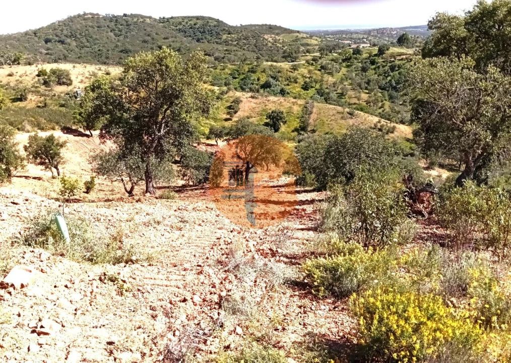 Terreno para Venda em Santa Catarina da Fonte do Bispo Foto 3