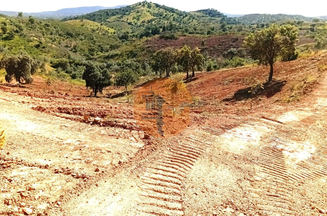 Terreno para Venda em Santa Catarina da Fonte do Bispo Foto 6
