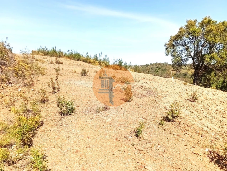 Terreno para Venda em Santa Catarina da Fonte do Bispo Foto 7