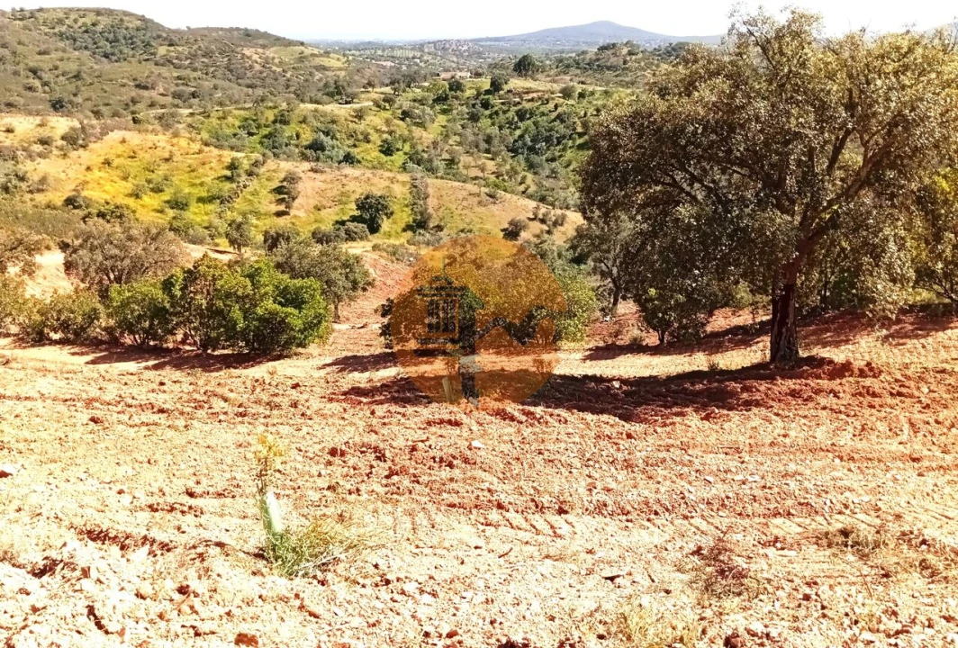 Terreno para Venda em Santa Catarina da Fonte do Bispo Foto 8