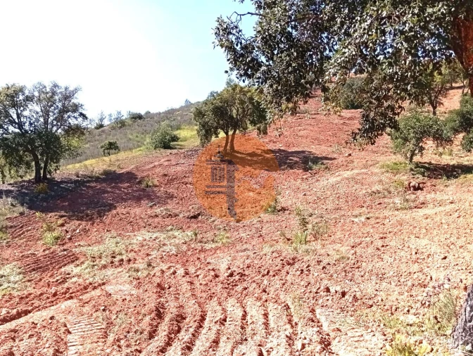 Terreno para Venda em Santa Catarina da Fonte do Bispo Foto 5