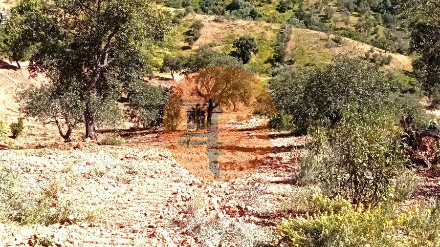 Terreno para Venda em Santa Catarina da Fonte do Bispo