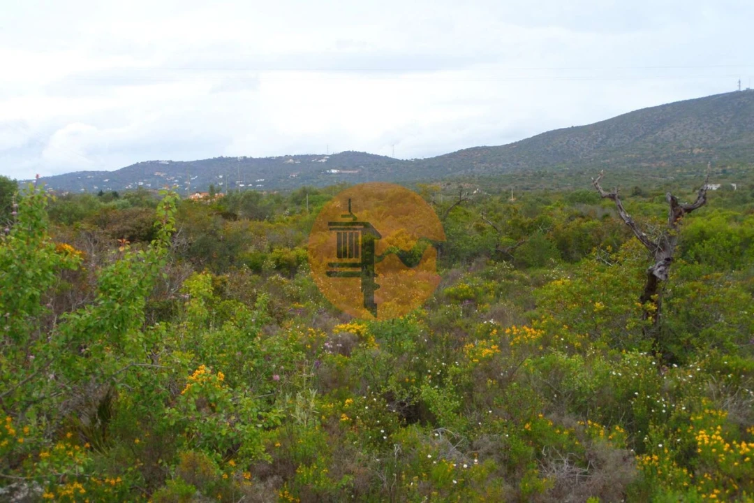 Terreno para Venda em Quelfes Foto 9