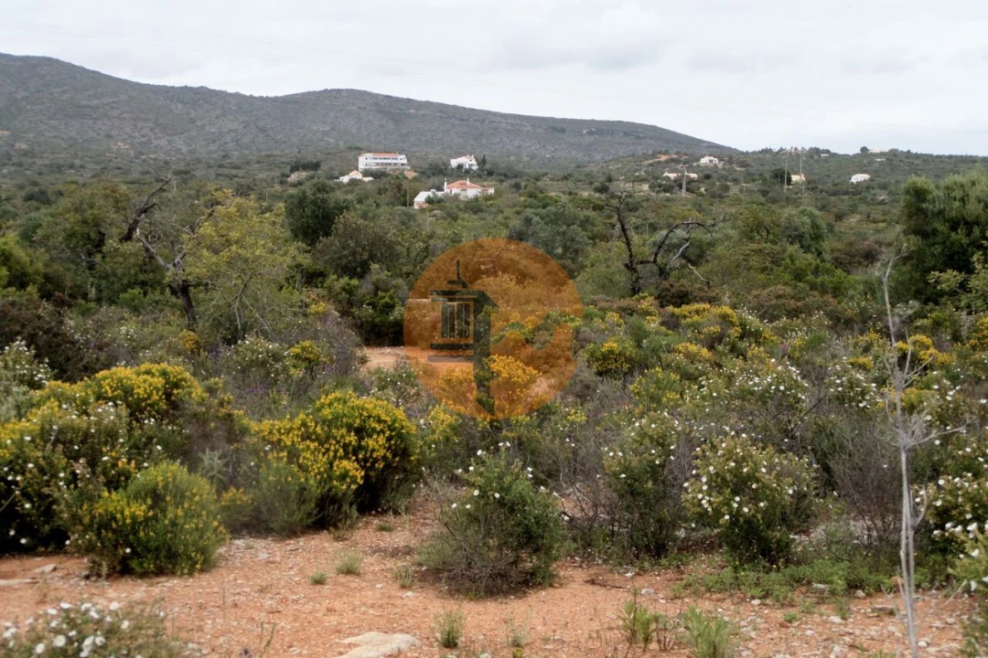 Terreno para Venda em Quelfes Foto 23