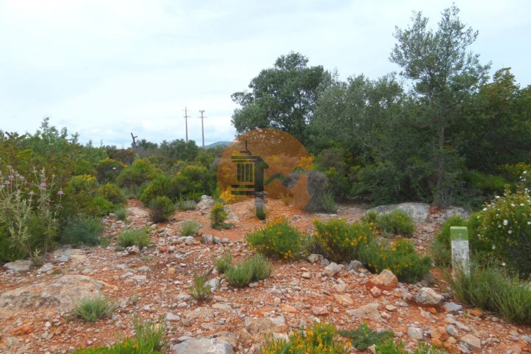 Terreno para Venda em Quelfes Foto 15