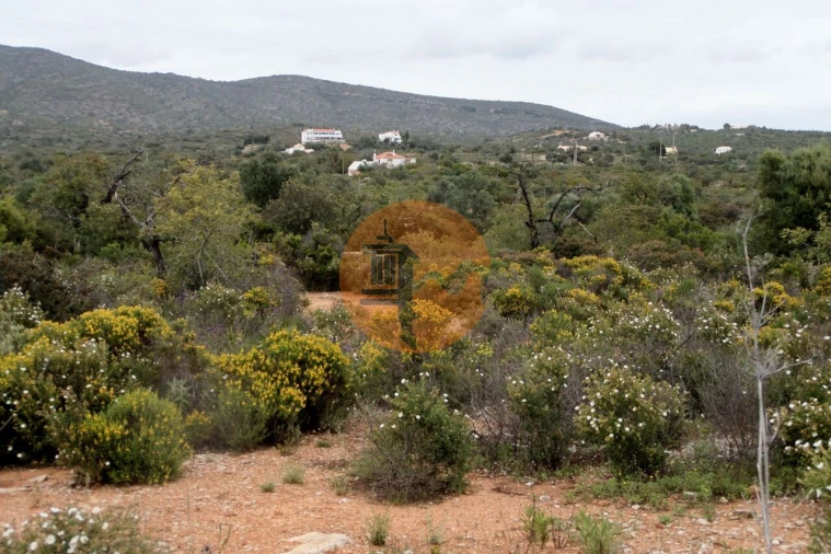 Terreno para Venda em Quelfes Foto 23
