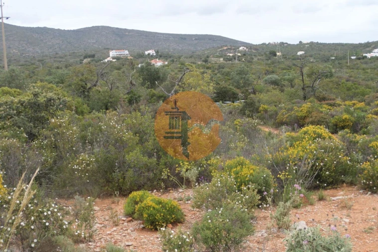 Terreno para Venda em Quelfes Foto 24