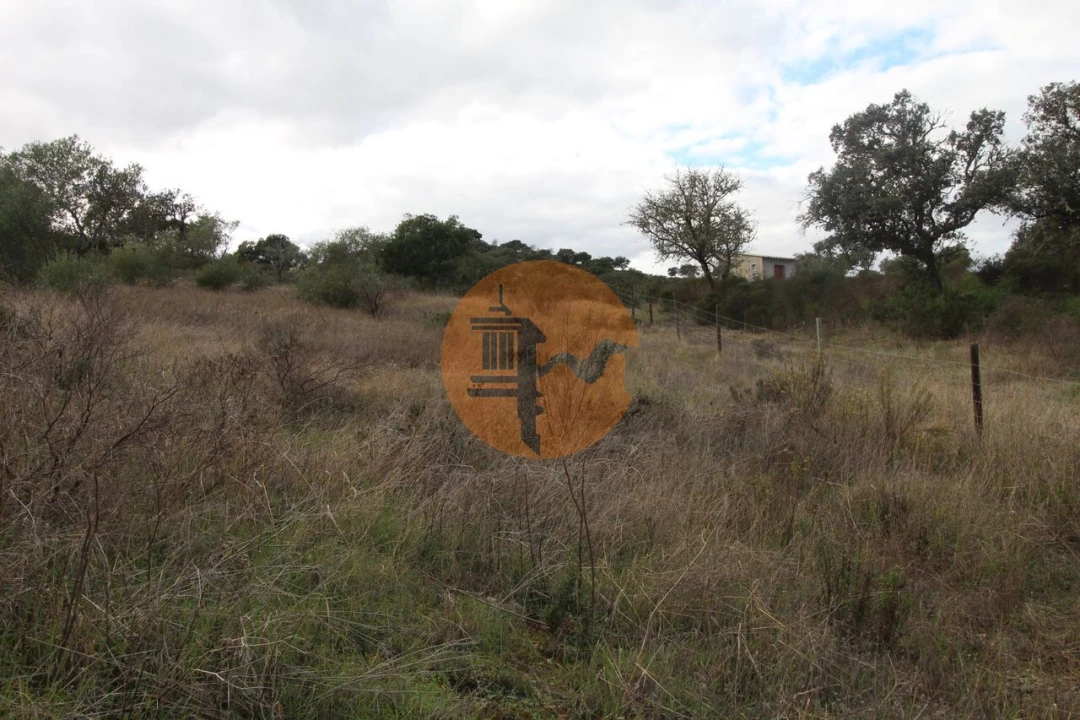 Terreno para Venda em Odeleite Foto 5