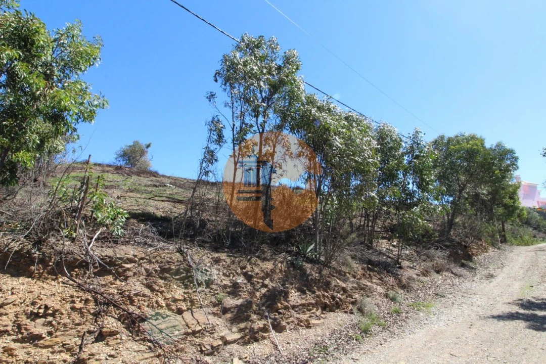 Terreno para Venda em Conceição e Cabanas de Tavira Foto 5