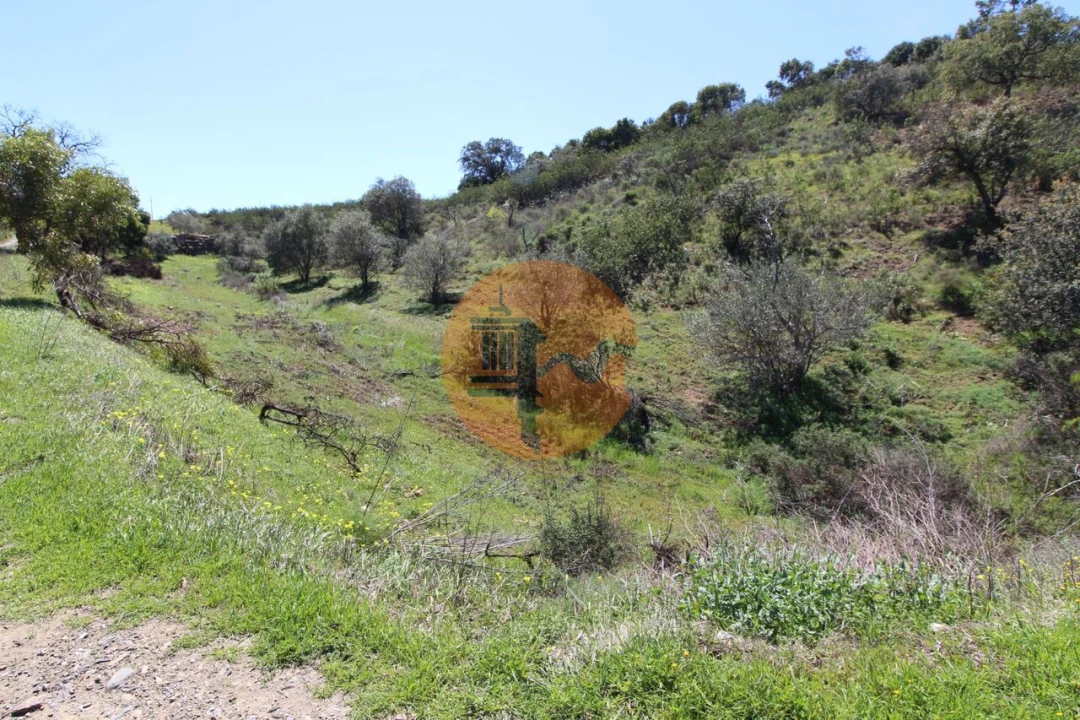 Terreno para Venda em Conceição e Cabanas de Tavira Foto 6