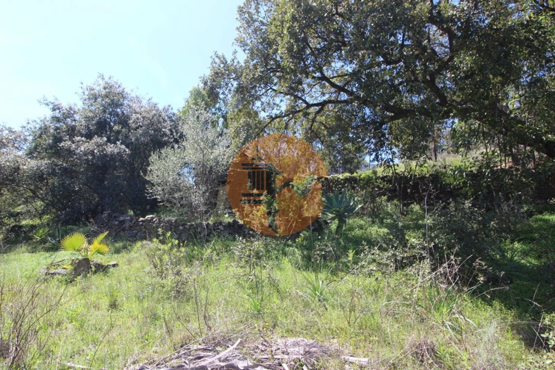 Terreno para Venda em Conceição e Cabanas de Tavira Foto 9