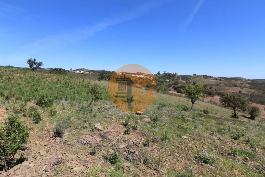 Terreno para Venda em Conceição e Cabanas de Tavira Foto 12