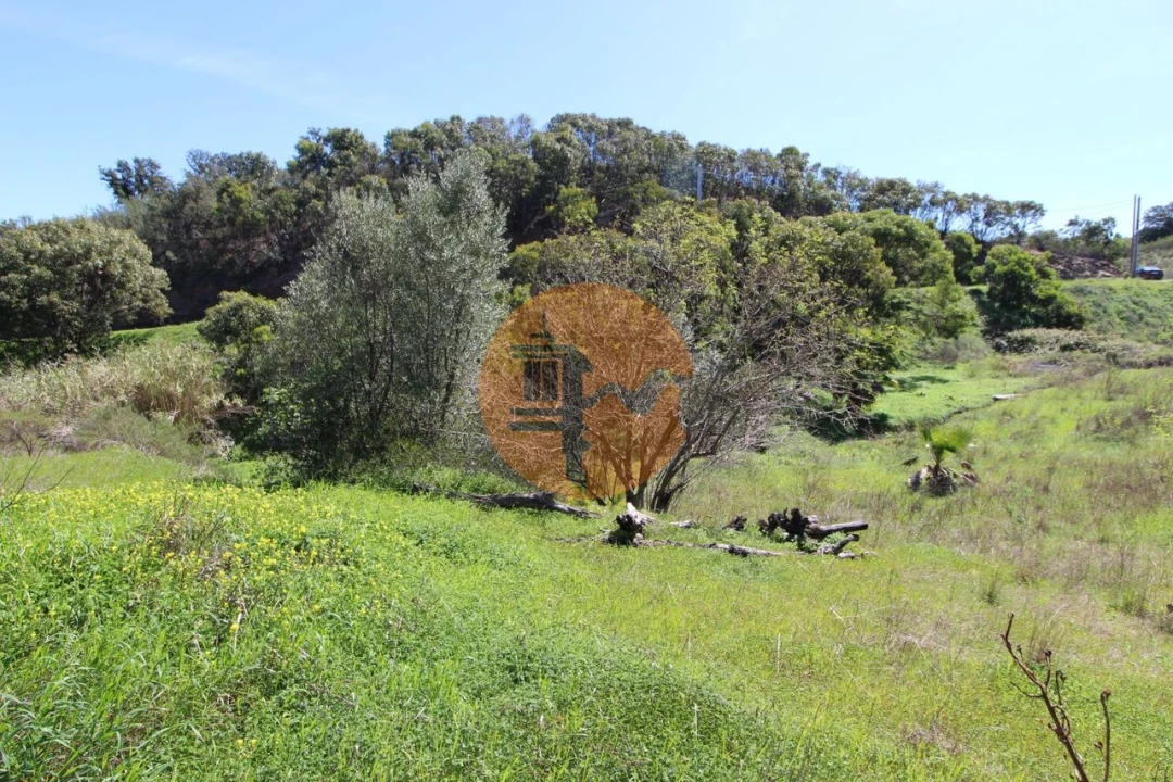 Terreno para Venda em Conceição e Cabanas de Tavira Foto 18