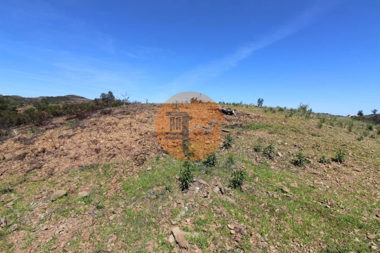 Terreno para Venda em Conceição e Cabanas de Tavira Foto 4