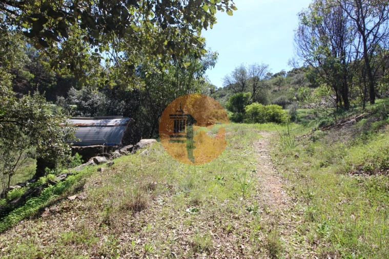 Terreno para Venda em Conceição e Cabanas de Tavira Foto 16