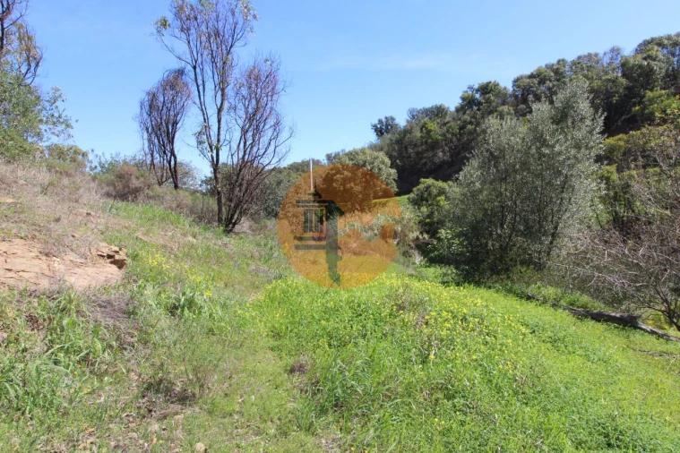 Terreno para Venda em Conceição e Cabanas de Tavira Foto 19