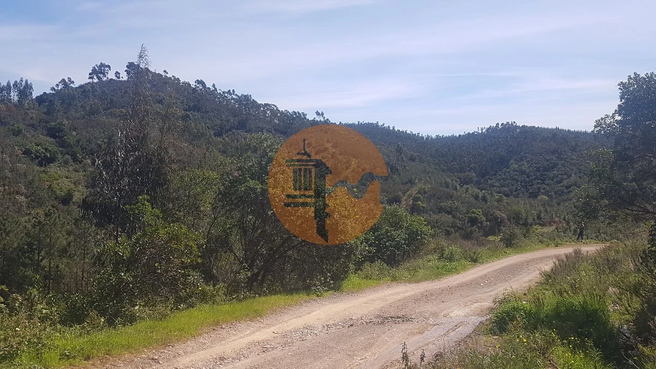 Terreno para Venda em Marmelete Foto 2