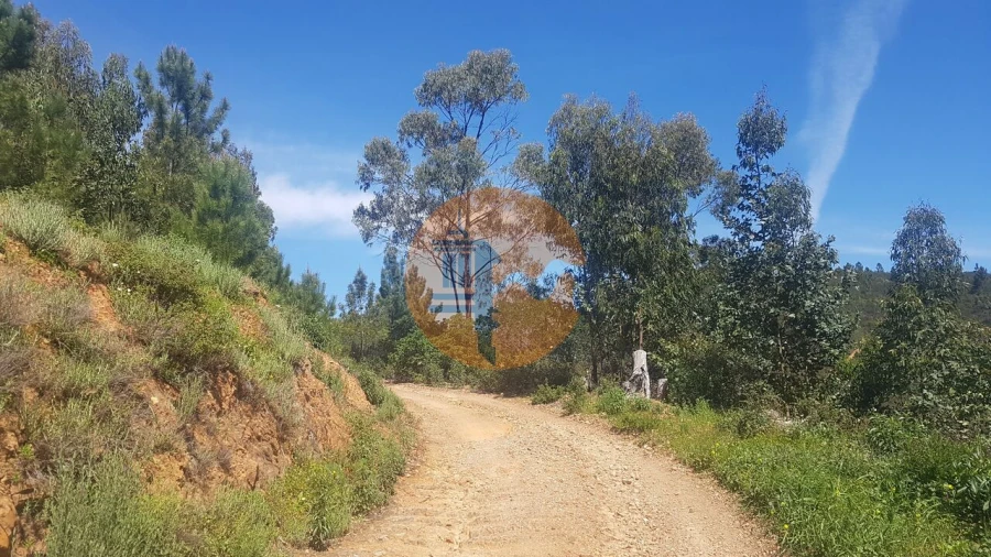 Terreno para Venda em Marmelete Foto 8