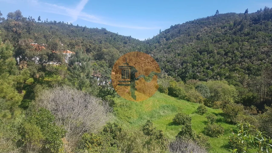 Terreno para Venda em Marmelete Foto 9