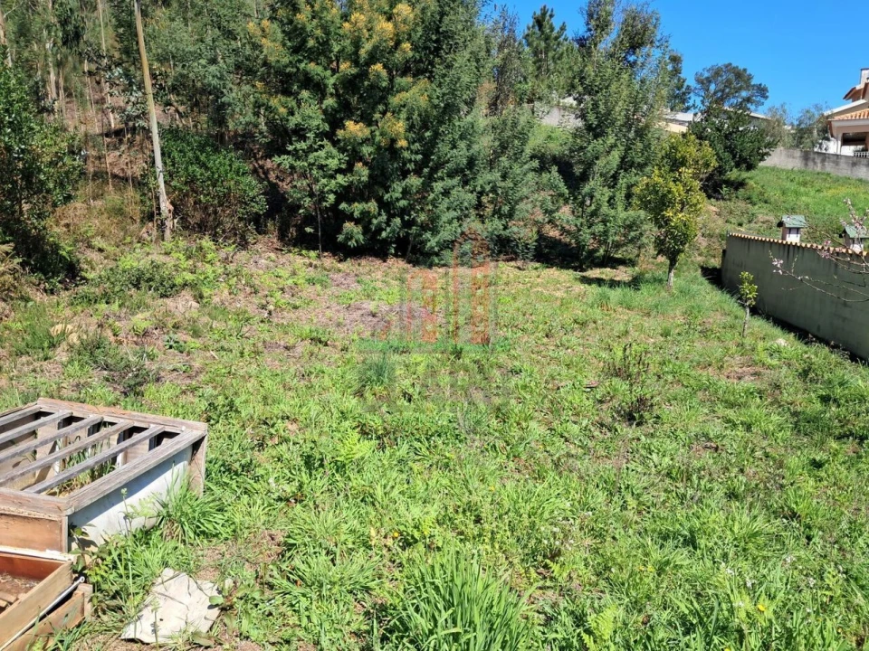 Moradia T3 para Venda em Serpins Foto 29