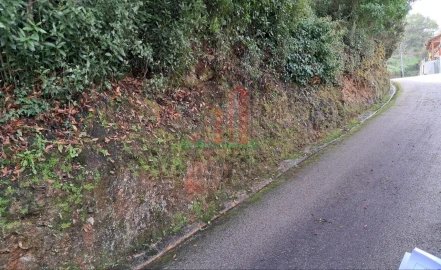 Terreno para Venda em Ceira