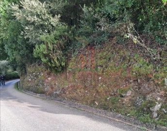 Terreno para Venda em Ceira